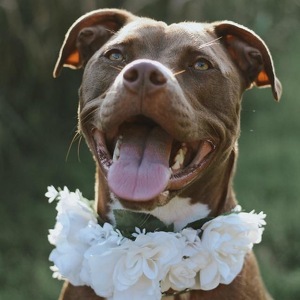 Fundraising Page: Autumn Graf